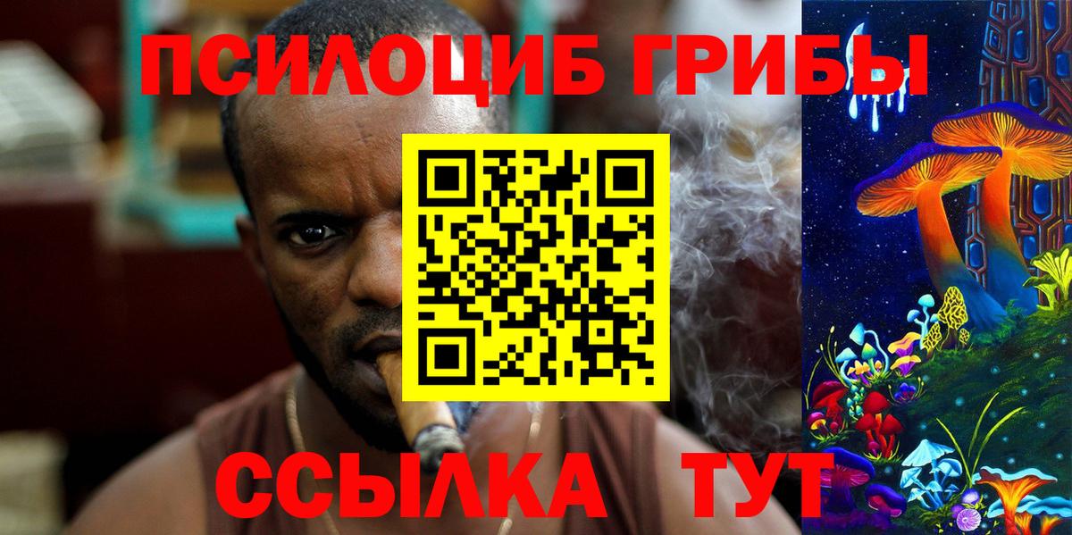 Десногорск  Галлюциногенные грибы прущие грибы  Вход с VPN 